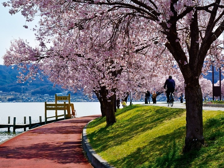 諏訪湖（赤砂崎公園）